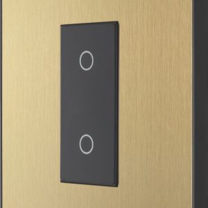 British General Evolve 1-Gang 2-Way LED Single Secondary Trailing Edge Touch Dimmer Switch  Satin Brass with Black Inserts