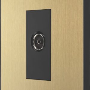 British General Evolve 1-Gang Coaxial TV / FM Socket Satin Brass with Black Inserts