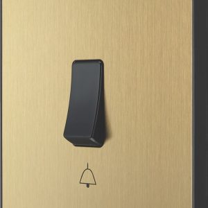 British General Evolve 10A 1-Gang 1-Way Press Switch Satin Brass with Black Inserts