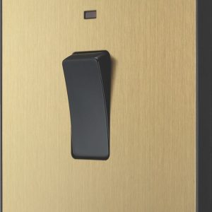British General Evolve 20A 1-Gang DP Control Switch Satin Brass with LED with Black Inserts