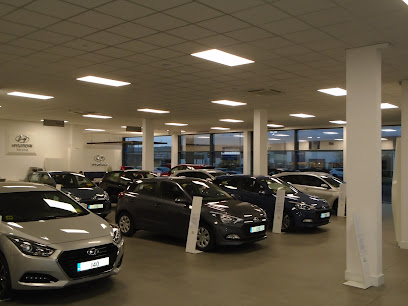 Adams of Tralee Ratass