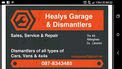 Bosch Car Service - Healy’s Garage Abbeyfeale West