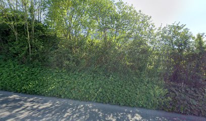 Brian Powell Motors Pouladuff