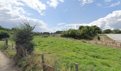 Buckley Autos Rahulk