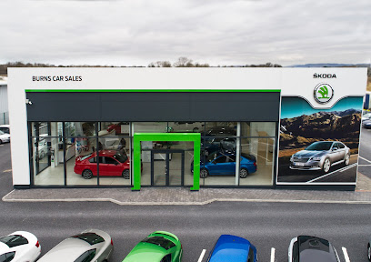 Burns Car Sales Drumaskibbole