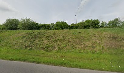 Carey Commercials Carrick