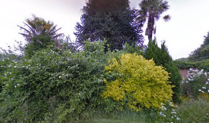 Coolree Mechanical Repairs Coolree