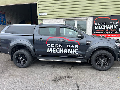 Cork Car Mechanic Car Gas Systems Matthew Hill