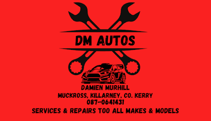DM Autos servicing repairs and recovery Muckross