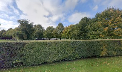 Finnegan Commercials Shanlis