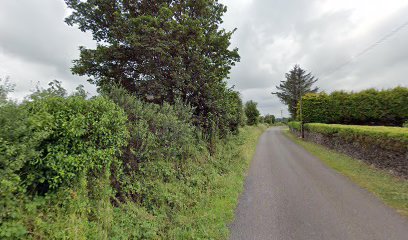 Foleys Garages Limited Trantstown