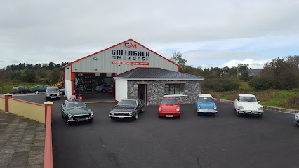 Gallagher Motors Lavy Beg