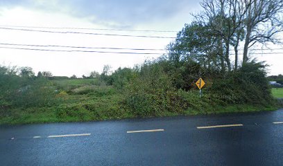 Galway Auto Electrical Pollkeen