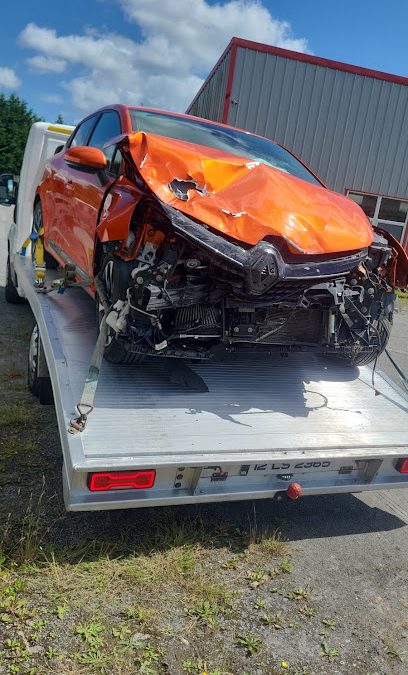 Laois Recovery Service Borris Little