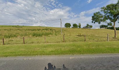 Max Motors Raggettstown