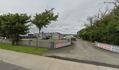 Mick Furlong Car Garage Carricklawn
