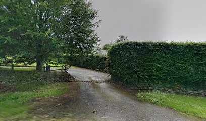 New Generation Restoration Moneyquid