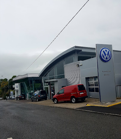 Newmarket Motors Demesne