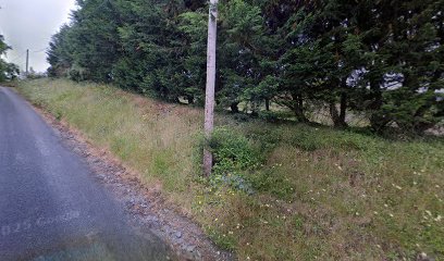 Pdillon autorepairs Ballylawn
