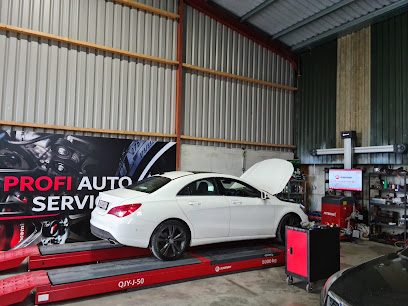 Profi Auto Service Crinstown