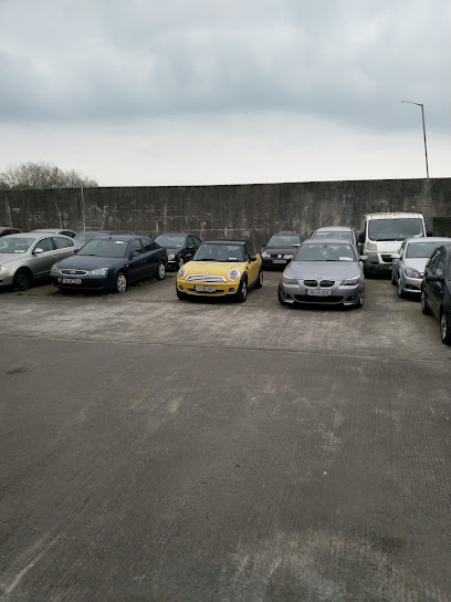 Repair and Care Shop Raheen