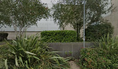 Shoes For My Car Tallaght