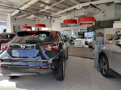 Windsor Liffey Valley Nissan Palmerstown Upper